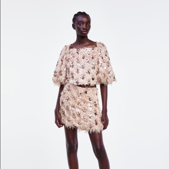 Zara Other - New Set! Zara Sequins Top and Matching skirt set